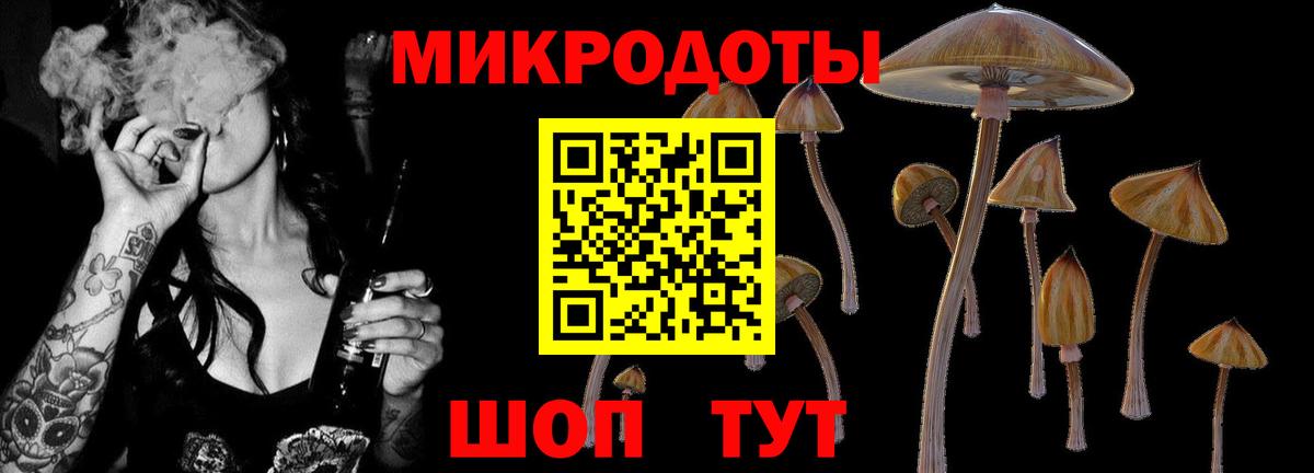Сарапул  где купить   Вход с VPN  Псилоцибиновые грибы мухоморы  Псилоцибиновые грибы MAGIC MUSHROOMS 